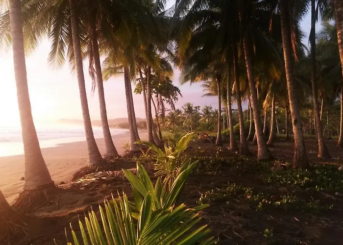 Down By The Sea, The Beachfront & Apartamento
