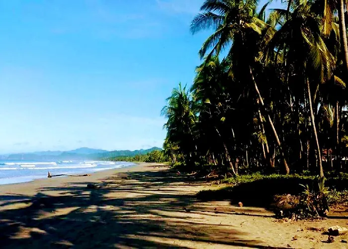 Down By The Sea, The Beachfront &