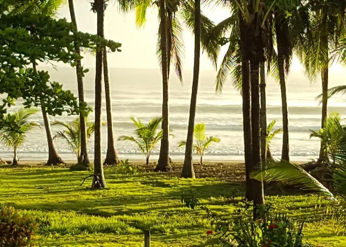 Down By The Sea, The Beachfront & Puerto Coyote